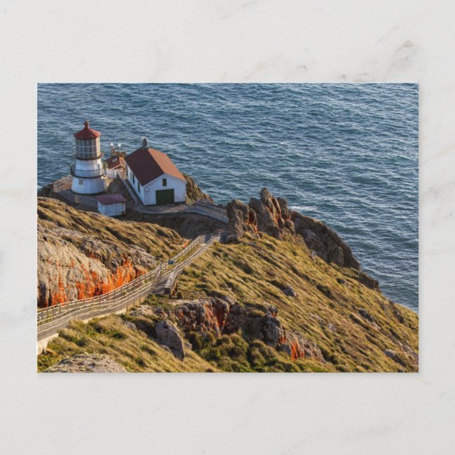 Carte Postale Phare à Point Reyes National Seashore (Devant)