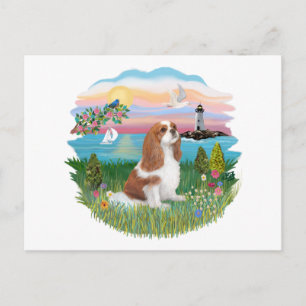 Carte Postale Phare - Cavalier (BL-F)
