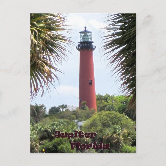Carte Postale Phare de Jupiter à travers les Palms (Devant)