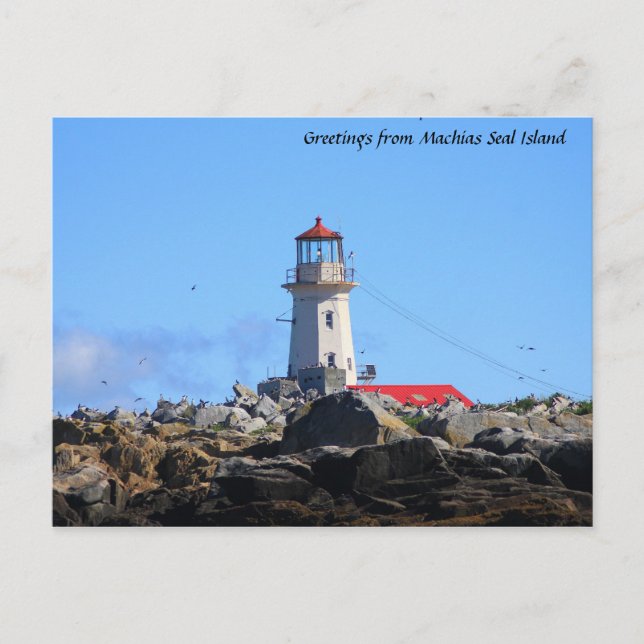 Carte Postale Phare de Machias Seal Island (Devant)