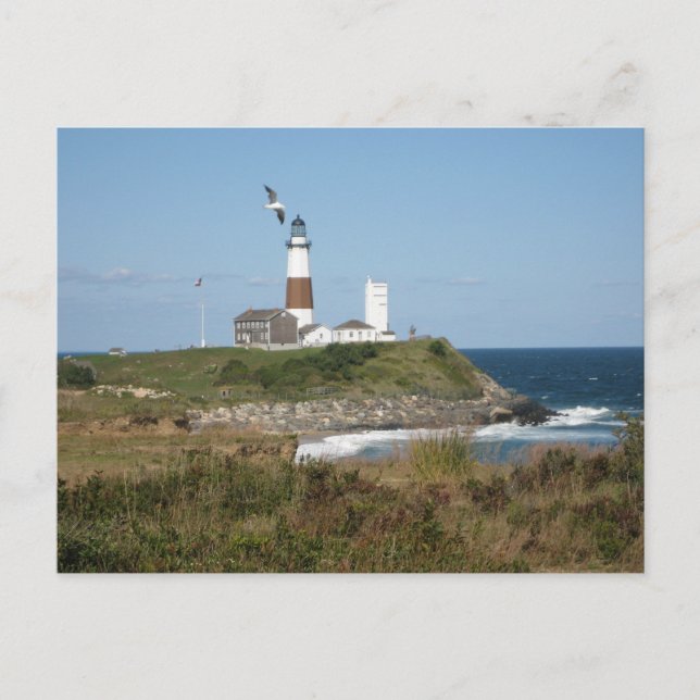 Carte Postale Phare de MONTAUK Seagull Love (Devant)