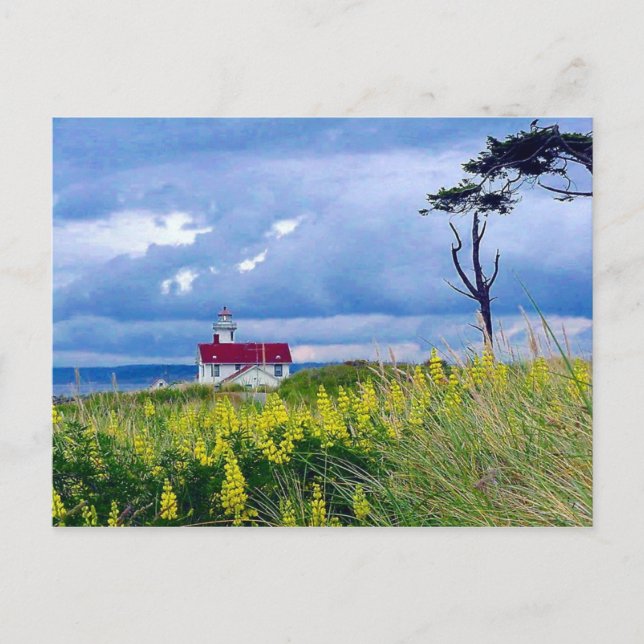 Carte Postale Phare de Point Wilson, Port Townsend, Washington (Devant)