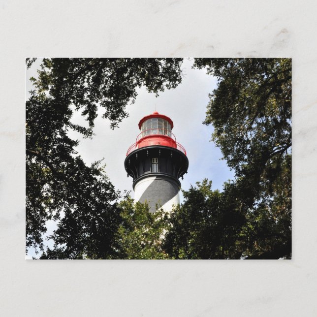 Carte Postale Phare de St. Augustine encadré par des chênes (Devant)