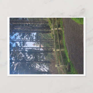 Carte Postale Phare Heceta head du sentier