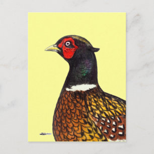 Carte Postale Pheasant : Tête de Ringneck