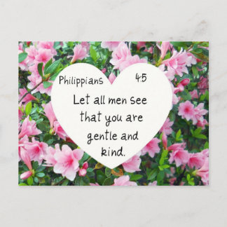 Carte Postale Philippiens 4:5