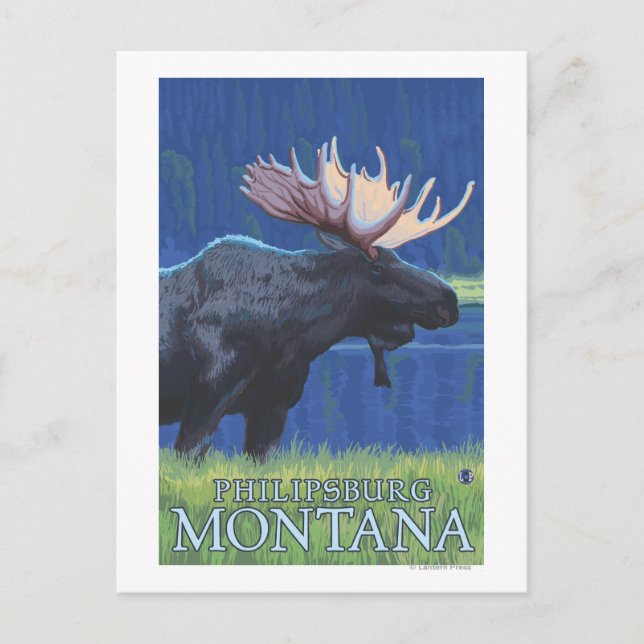 Carte Postale Philipsburg, Montana Moonlight Moose (Devant)