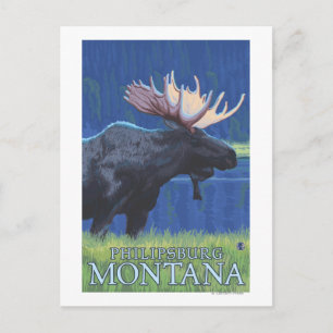 Carte Postale Philipsburg, Montana Moonlight Moose