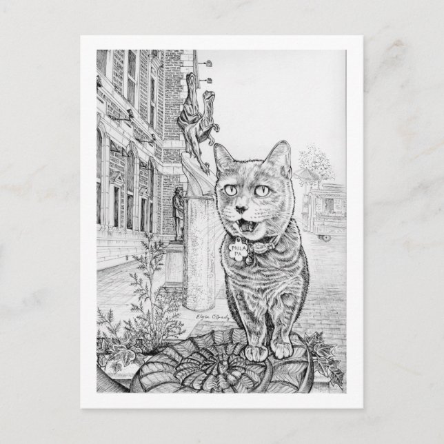 Carte Postale Philly Cat near Academy of Natural Sciences  (Devant)
