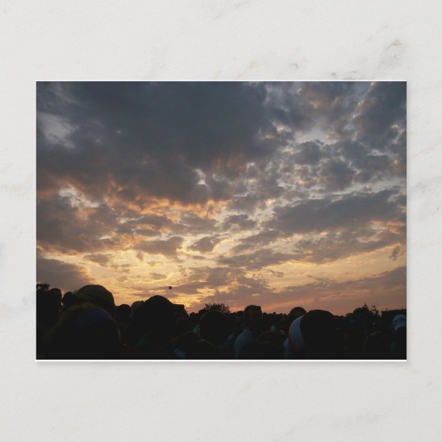 Carte Postale Phish Ball (Devant)