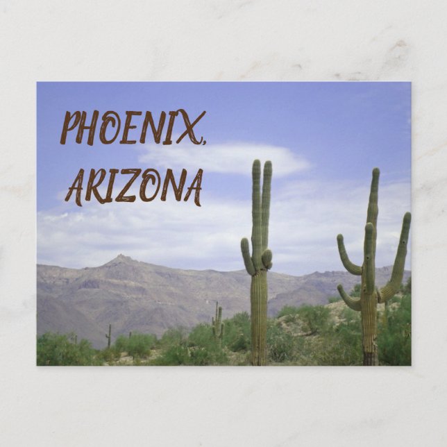 Carte Postale Phoenix Arizona Desert Photo Saguaro Cactus (Devant)