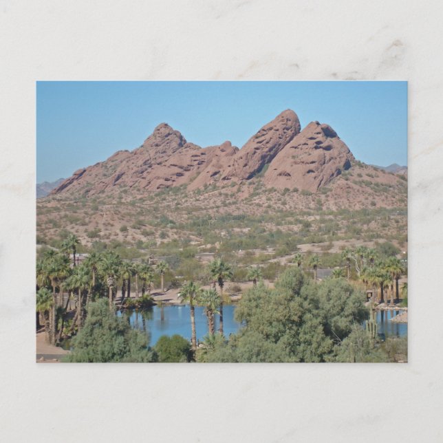 Carte Postale Phoenix Arizona Red Rock Photo Paysage (Devant)