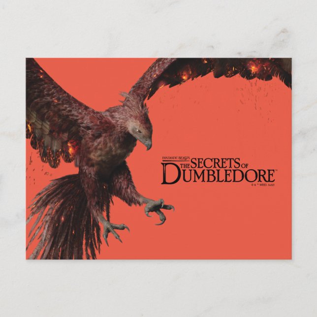 Carte Postale Phoenix Flying Graphic (Devant)