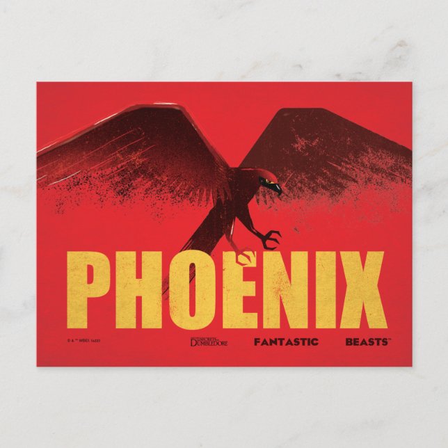 Carte Postale Phoenix Vingate Graphic (Devant)