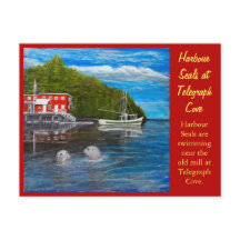 Phoques à Telegraph Cove, C.-B. Canada.