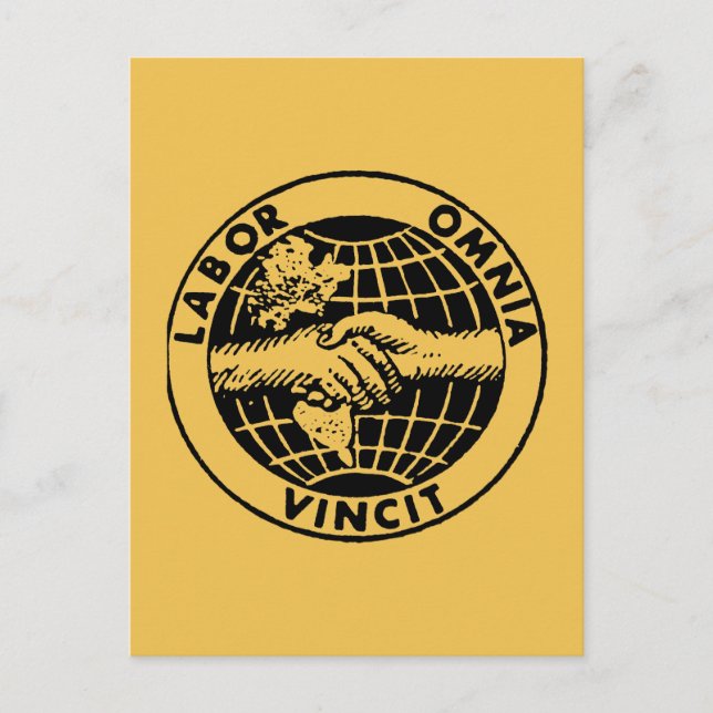 Carte Postale Phoques : Afl (Devant)