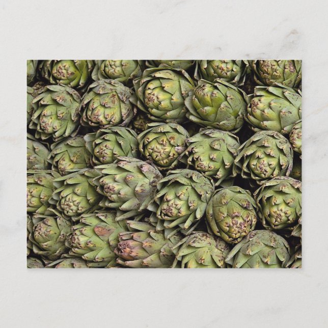 Carte Postale Photo Artichots (Devant)