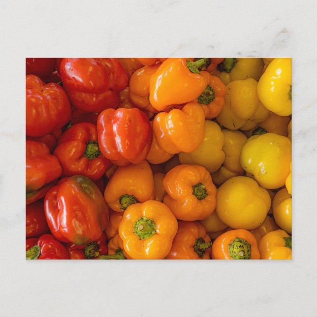 Carte postale photo Bell Peppers (Devant)