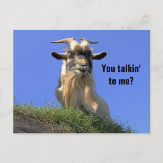 Carte Postale Photo Billy Goat