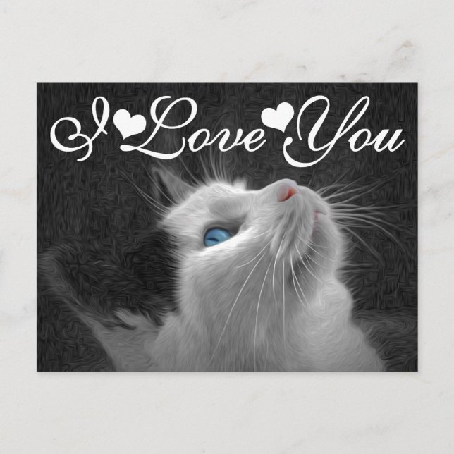 Carte Postale Photo Blue Eyed Cat I Love You (Devant)