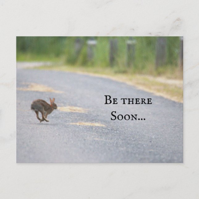 Carte postale photo Bunny (Devant)