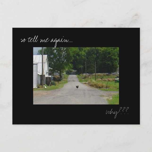 Carte postale photo 'Chicken Crossing Road' (Devant)