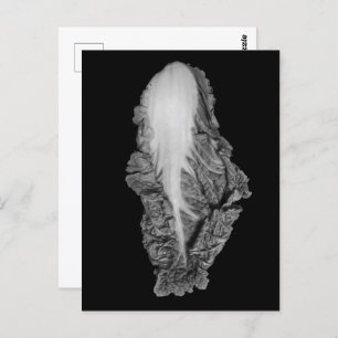 Carte Postale Photo chinoise de portrait de choux