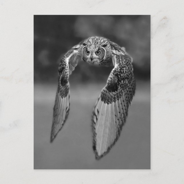 Carte postale photo classique (Devant)