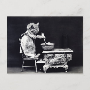 Carte Postale Photo cuisine chaton vintage