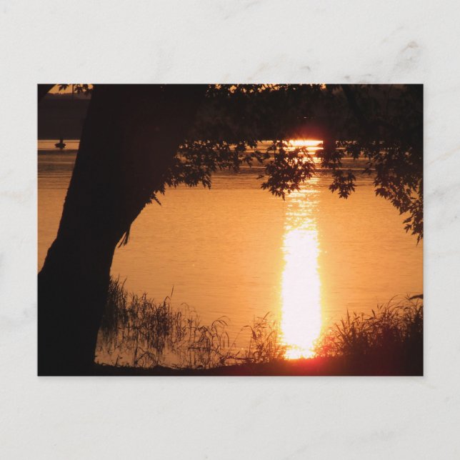 Carte postale photo - Customisée (Devant)