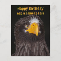 Photo d'aigle de mer de Steller, personnalisable