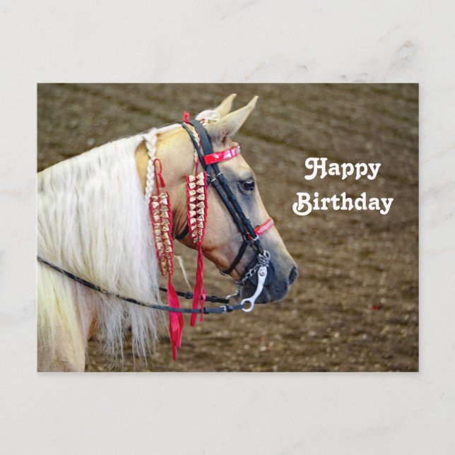 Carte Postale Photo d'anniversaire de beau cheval Palomino (Devant)