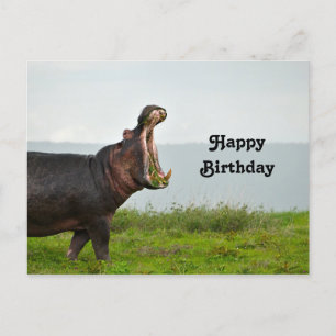 Carte Postale Photo d'anniversaire de la faune Hippopotame