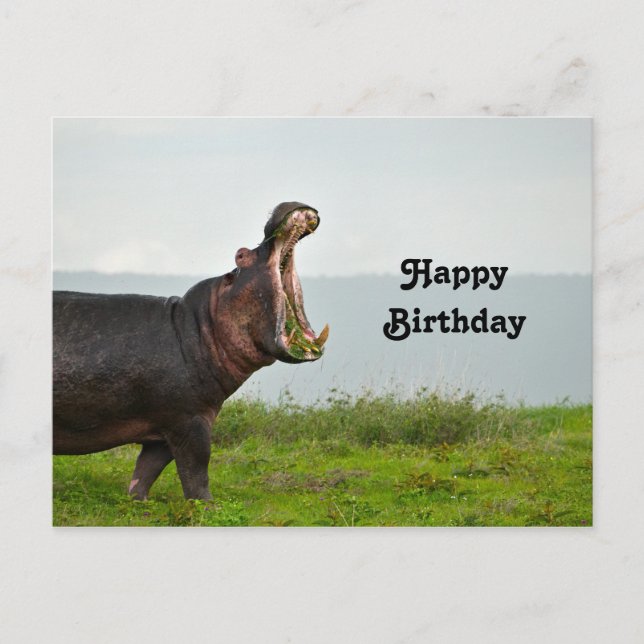 Carte Postale Photo d'anniversaire de l'hippopotame faunique (Devant)