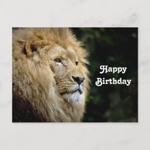 Carte Postale Photo d'anniversaire de profil de lion faunique
