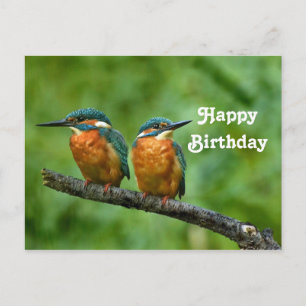 Carte Postale Photo d'anniversaire du martin pêcheur