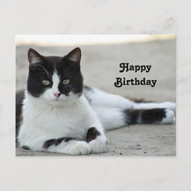 Carte Postale Photo d'anniversaire Tuxedo noir et blanc pour cha (Devant)