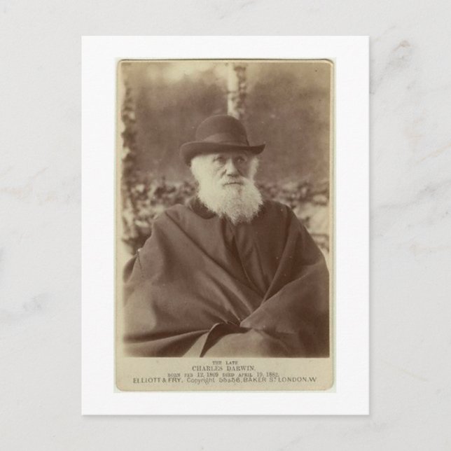Carte Postale Photo de Charles Darwin, 29 novembre 1881 (Devant)