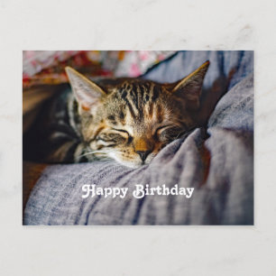 Carte Postale Photo de chat tabby mignon endormi pour anniversai