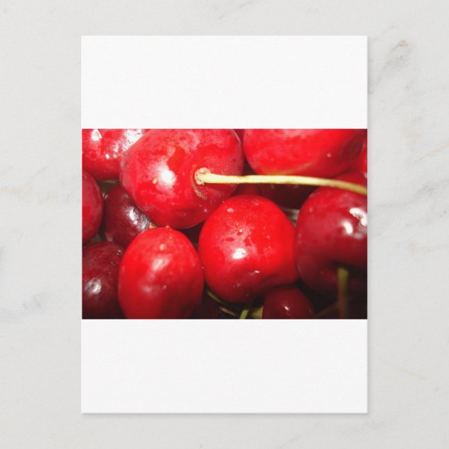 Carte Postale Photo de Cherries (Devant)