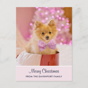 Carte Postale Photo de Cute Christmas Dog avec Pink Bow & Tree