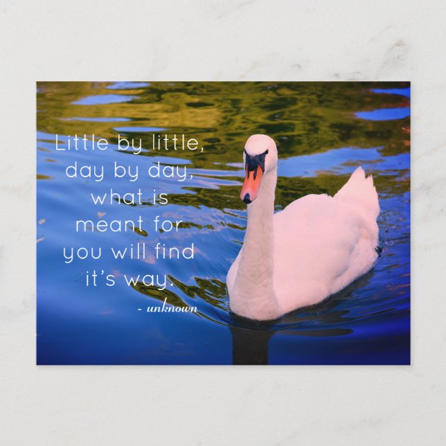 Carte Postale Photo de cygne blanc avec citation motivationnelle (Devant)