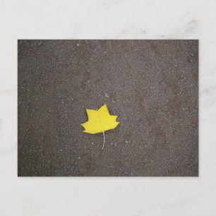 Carte postale photo de feuille jaune