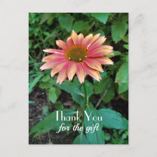 Carte Postale Photo de fleur de Zinnia rose Merci avec salutatio