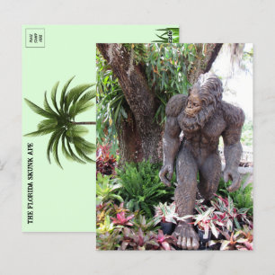Carte Postale Photo de Floride Skunk Ape