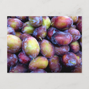 Carte postale photo de fruits de prune