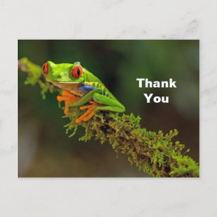 Carte Postale Photo de grenouille à yeux rouges Merci
