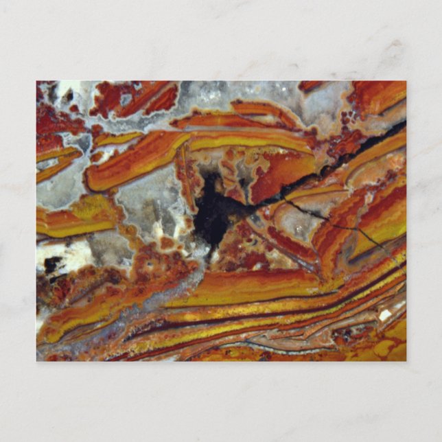 Carte Postale Photo de jasper orange et jaune (Devant)