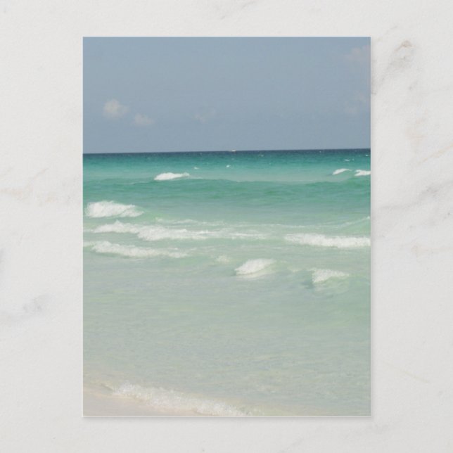 Carte Postale photo de la côte du golfe (Devant)