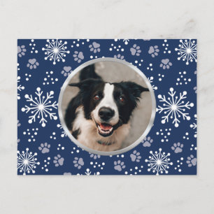 Carte Postale Photo de la marine Snowflake Paw Motif Pet